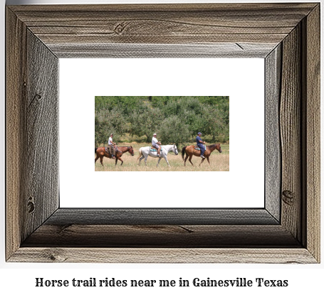 horse trail rides near me in Gainesville, Texas